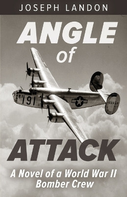 Angle of Attack(English, Paperback, Landon Joseph)