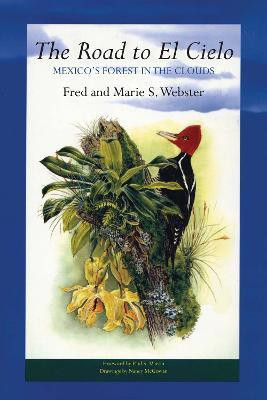 The Road to El Cielo(English, Paperback, Webster Fred)