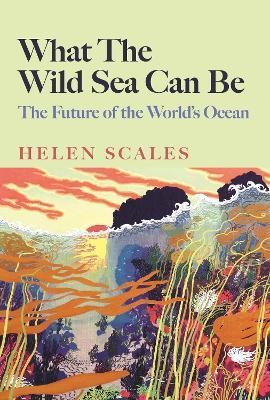 What the Wild Sea Can Be(English, Paperback, Scales Helen)