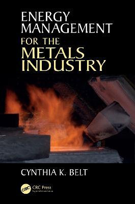 Energy Management for the Metals Industry(English, Electronic book text, Belt Cynthia K.)