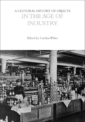 A Cultural History of Objects in the Age of Industry(English, Paperback, unknown)
