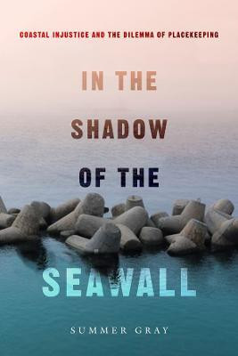 In the Shadow of the Seawall(English, Hardcover, Gray Summer)