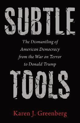 Subtle Tools(English, Paperback, Greenberg Karen J.)