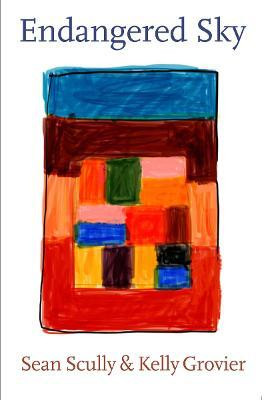 Endangered Sky: Sean Scully & Kelly Grovier(English, Hardcover, unknown)