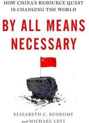 By All Means Necessary(English, Hardcover, Economy Elizabeth)