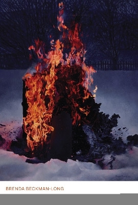 Carol Shields and the Writer-Critic(English, Electronic book text, Beckman-Long Brenda)