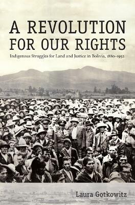 A Revolution for Our Rights(English, Paperback, Gotkowitz Laura)