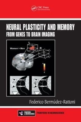 Neural Plasticity and Memory(English, Hardcover, unknown)