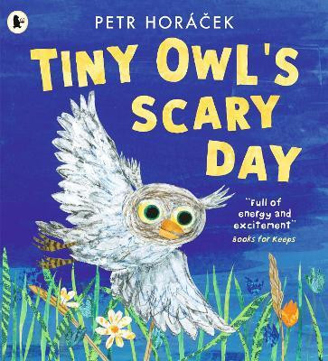 Tiny Owl's Scary Day(English, Paperback, Horacek Petr)