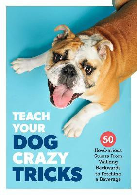 Teach Your Dog Crazy Tricks(English, Paperback, van Zon Desiree)