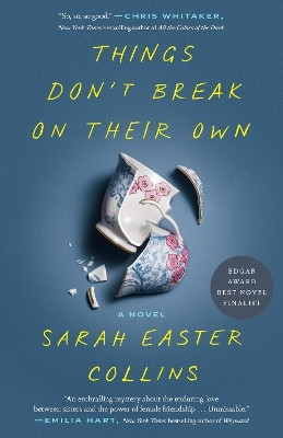 Things Don't Break on Their Own(English, Paperback, Easter Collins Sarah)