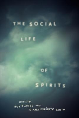 The Social Life of Spirits(English, Paperback, unknown)