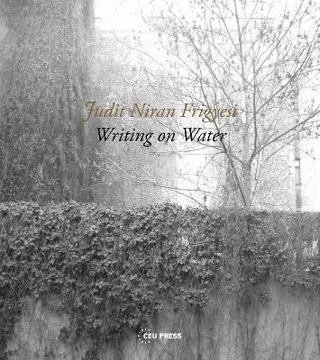 Writing on Water(English, Paperback, Niran Frigyesi Judit)