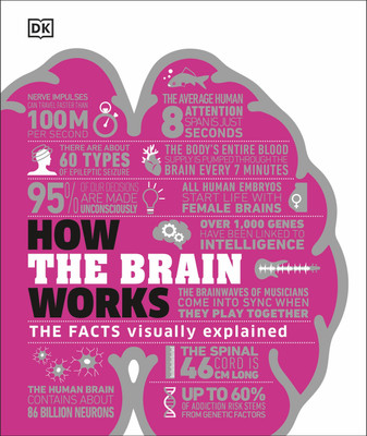 How the Brain Works(English, Hardcover, DK)