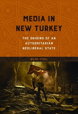 Media in New Turkey(English, Paperback, Yesil Bilge)