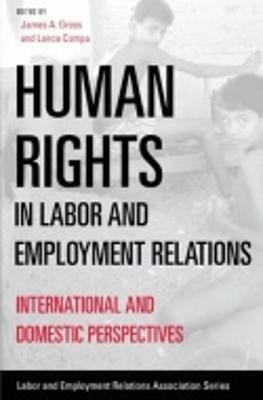 Human Rights in Labor and Employment Relations(English, Paperback, unknown)