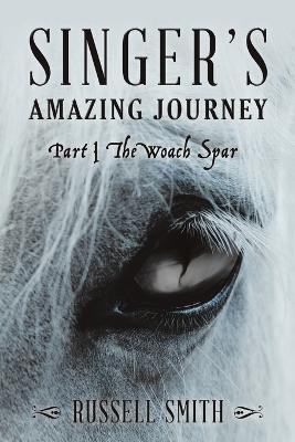 Singer's Amazing Journey(English, Paperback, Smith Russell)