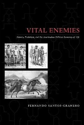 Vital Enemies(English, Paperback, Santos-Granero Fernando)