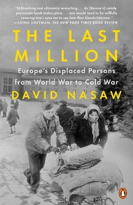 The Last Million(English, Paperback, Nasaw David)