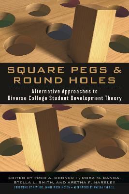 Square Pegs and Round Holes(English, Paperback, unknown)