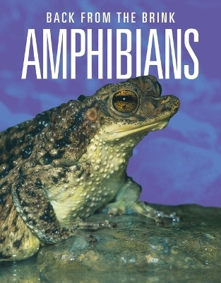 Amphibians: Back from the Brink(English, Paperback, Mattern Joanne)