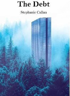 The Debt(English, Paperback, Callan Stephanie)