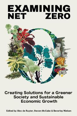 Examining Net Zero(English, Hardcover, unknown)