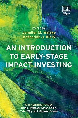 An Introduction to Early-Stage Impact Investing(English, Paperback, unknown)