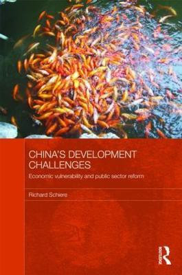 China's Development Challenges  - Economic Vulnerability and Public Sector Reform(English, Hardcover, Schiere Richard)