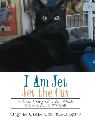 I Am Jet Jet the Cat(English, Paperback, Brigitta Gisella Geltrich-Ludgate)