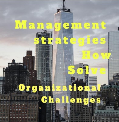 Management strategies How Solve Organizational Challanges(English, Hardcover, John Lok)