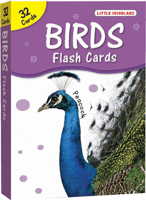 Big Flash Cards Birds (Ls)(English, Paperback, LS Editorial Team)