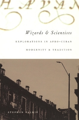 Wizards and Scientists(English, Paperback, Palmie Stephan)