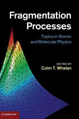 Fragmentation Processes  - Topics in Atomic and Molecular Physics(English, Hardcover, unknown)