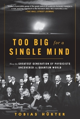 Too Big for a Single Mind(English, Paperback, Huerter Tobias)