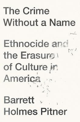 The Crime Without a Name(English, Paperback, Pitner Barrett Holmes)