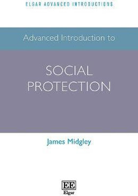 Advanced Introduction to Social Protection(English, Hardcover, Midgley James)