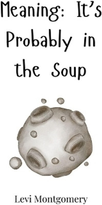 Meaning(English, Hardcover, Montgomery Levi)