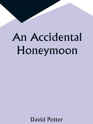 An Accidental Honeymoon(Paperback, David Potter)