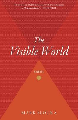 Visible World(English, Paperback, Slouka Mark)