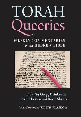 Torah Queeries(English, Paperback, unknown)