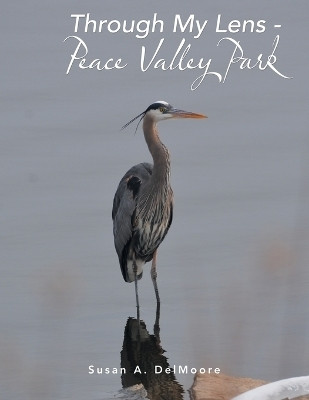 Through My Lens - Peace Valley Park(English, Paperback, Delmoore Susan A)