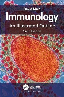 Immunology(English, Paperback, Male David)