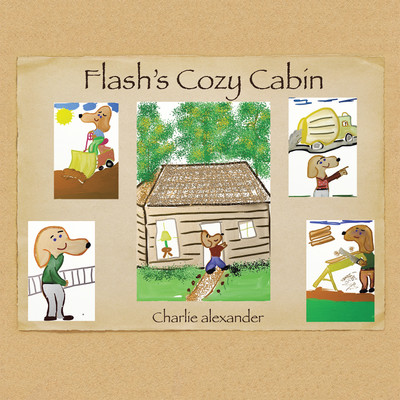 Flash's Cozy Cabin(English, Paperback, Alexander Charlie)