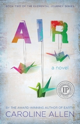 Air(English, Paperback, Allen Caroline)