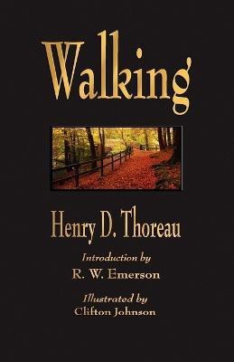 Walking(English, Paperback, Henry David Thoreau)