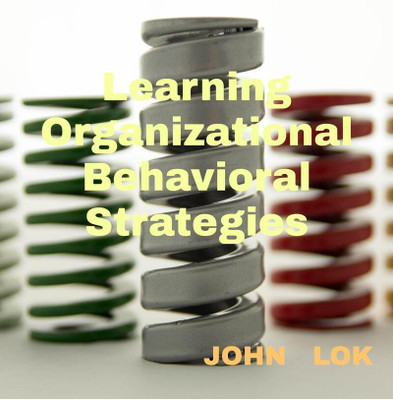 Learning Organizational Behavioral Strategies(English, Paperback, John Lok)