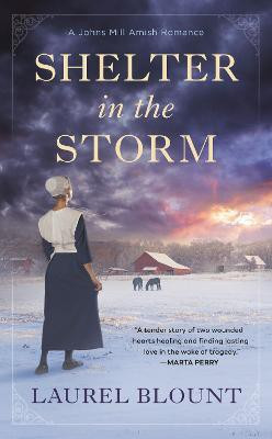 Shelter in the Storm(English, Paperback, Blount Laurel)