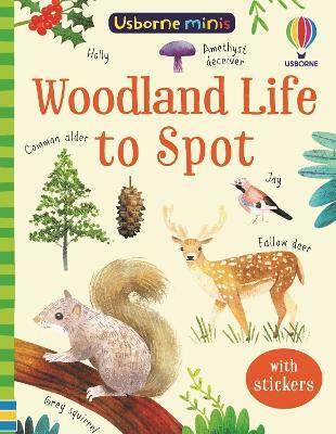 Woodland Life to Spot(English, Paperback, Nolan Kate)