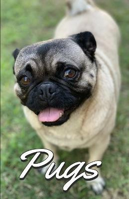 Pugs Photo Book for Writing and Note Taking(English, Paperback, The Write Supplies)